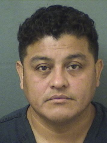 IGNACIO HERRERAHERNANDEZ Results from Palm Beach County Florida for  IGNACIO HERRERAHERNANDEZ