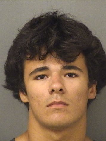 ALEX DAVID INTERIAN Results from Palm Beach County Florida for  ALEX DAVID INTERIAN