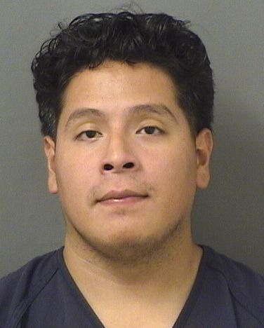  JUAN JOSE BARRERACASTILLO Results from Palm Beach County Florida for  JUAN JOSE BARRERACASTILLO