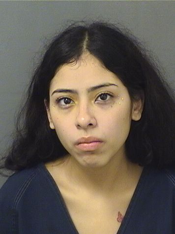  CHRISTINA LUNA Results from Palm Beach County Florida for  CHRISTINA LUNA