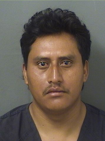  HELIBERTO MORALESMORALES Results from Palm Beach County Florida for  HELIBERTO MORALESMORALES