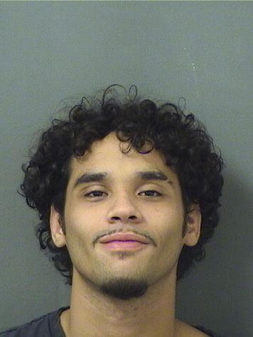 DAVID JOSEPH BORGES Results from Palm Beach County Florida for  DAVID JOSEPH BORGES