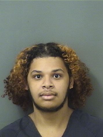  NIKOLAS ROBERT BLAKE Results from Palm Beach County Florida for  NIKOLAS ROBERT BLAKE