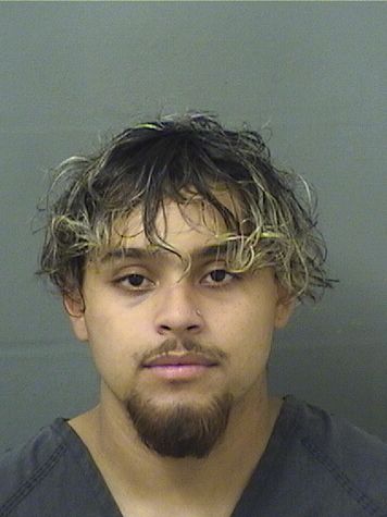  CHRISTIAN GOVANY BENITEZ Results from Palm Beach County Florida for  CHRISTIAN GOVANY BENITEZ