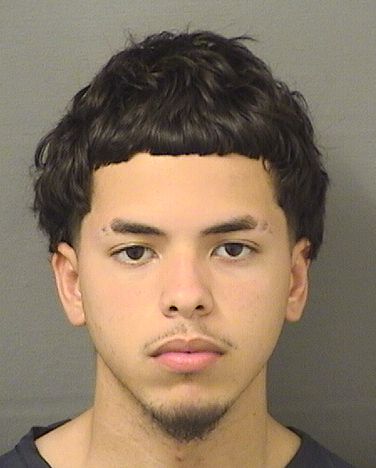  BRAYAN REYNALDO GARCIA MORENO Results from Palm Beach County Florida for  BRAYAN REYNALDO GARCIA MORENO