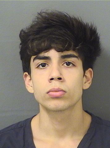  KEVIN MONTEIRO Results from Palm Beach County Florida for  KEVIN MONTEIRO