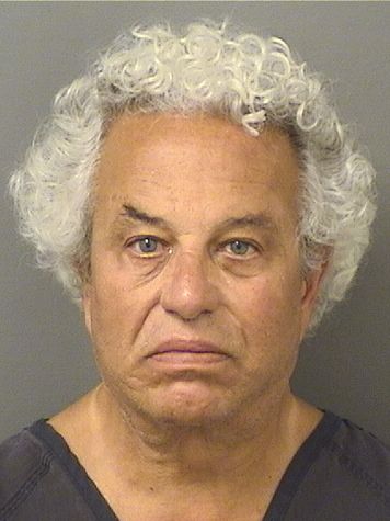  BERNARD DONALD DAYAN Results from Palm Beach County Florida for  BERNARD DONALD DAYAN