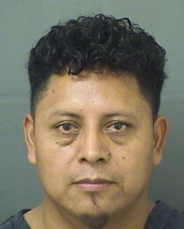  RUBEN MANUEL VASQUEZMENCHU Results from Palm Beach County Florida for  RUBEN MANUEL VASQUEZMENCHU