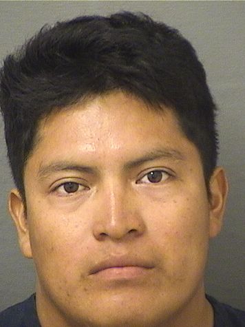  ELMER ORDONEZHERNANDEZ Results from Palm Beach County Florida for  ELMER ORDONEZHERNANDEZ