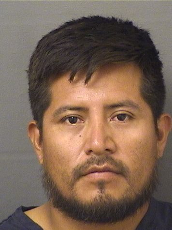  YELTHSIN VILLANER VELASQUEZMATIAS Results from Palm Beach County Florida for  YELTHSIN VILLANER VELASQUEZMATIAS