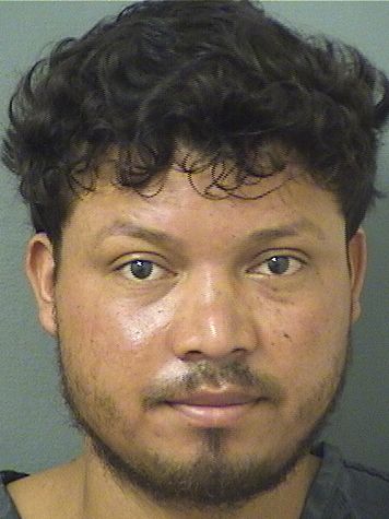  OSCAR OMAR RUIZCARDONA Results from Palm Beach County Florida for  OSCAR OMAR RUIZCARDONA