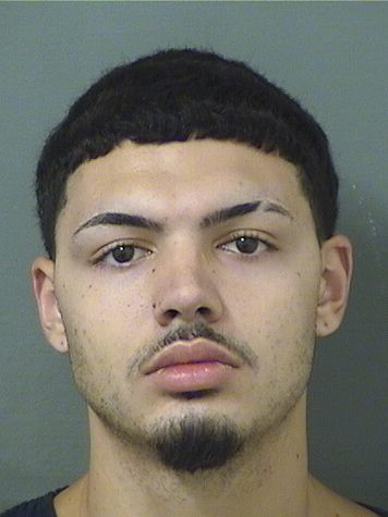  AYDEN JOSHUA BOURNE Results from Palm Beach County Florida for  AYDEN JOSHUA BOURNE