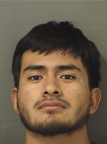  YERMY YONATAN CARRILLO Results from Palm Beach County Florida for  YERMY YONATAN CARRILLO