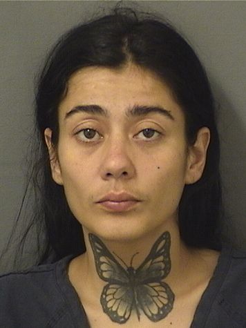  ILIANA CABALLERO Results from Palm Beach County Florida for  ILIANA CABALLERO