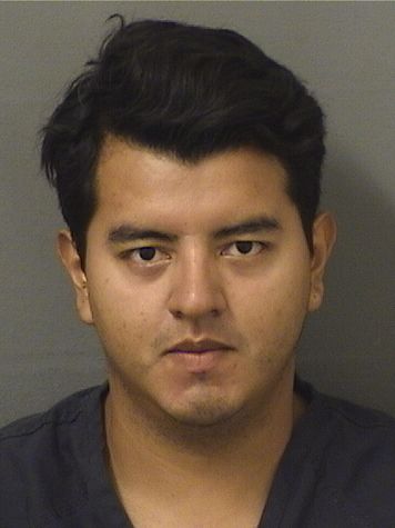  IVAN VICENTE Results from Palm Beach County Florida for  IVAN VICENTE