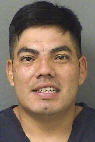  ERIK JOAN MORALESCHAVEZ Results from Palm Beach County Florida for  ERIK JOAN MORALESCHAVEZ