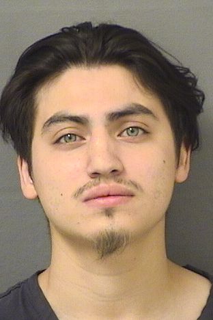  VICENTE RENTERIA HERNANDEZ Results from Palm Beach County Florida for  VICENTE RENTERIA HERNANDEZ