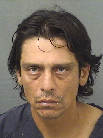  DAVID N BAUTISTA OCHOA Results from Palm Beach County Florida for  DAVID N BAUTISTA OCHOA