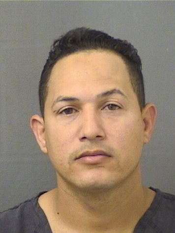  JOSE ANTONIO DIEZRO SABAL Results from Palm Beach County Florida for  JOSE ANTONIO DIEZRO SABAL
