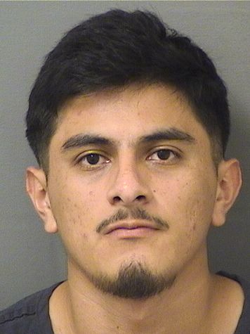  SILVER MISAEL TELLO LOPEZ Results from Palm Beach County Florida for  SILVER MISAEL TELLO LOPEZ
