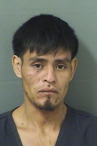  IZRAEL JERONIMO Results from Palm Beach County Florida for  IZRAEL JERONIMO