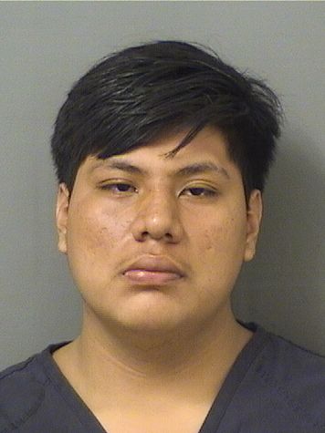  CRISTIAN HERNANDEZGOMEZ Results from Palm Beach County Florida for  CRISTIAN HERNANDEZGOMEZ