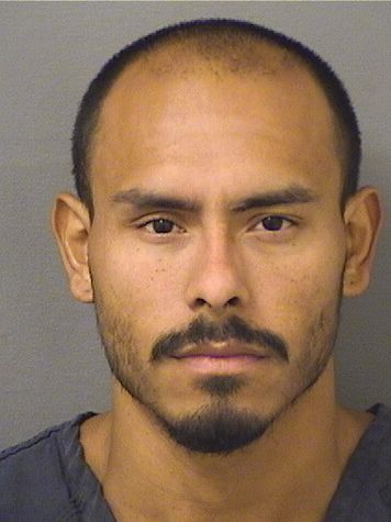  RICKY MATEO LOBATTO Results from Palm Beach County Florida for  RICKY MATEO LOBATTO