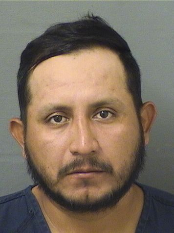  ANGEL ROBLERO PEREZ Results from Palm Beach County Florida for  ANGEL ROBLERO PEREZ