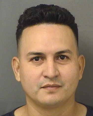  EBER NAUN ROMEROROMERO Results from Palm Beach County Florida for  EBER NAUN ROMEROROMERO