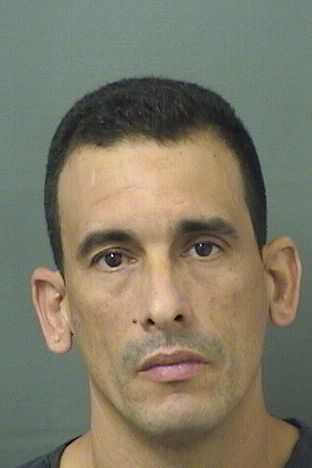  GABRIEL GOMEZRODRIGUEZ Results from Palm Beach County Florida for  GABRIEL GOMEZRODRIGUEZ