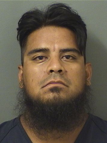  JONATAN CASTORELA Results from Palm Beach County Florida for  JONATAN CASTORELA