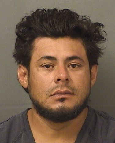  DENIS ACOSTAORDONEZ Results from Palm Beach County Florida for  DENIS ACOSTAORDONEZ