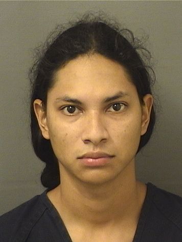  JAVIER ANDRES VELASCOMACHADO Results from Palm Beach County Florida for  JAVIER ANDRES VELASCOMACHADO