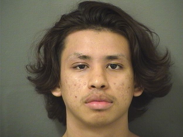  LUIS M NAVARROMARTINEZ Results from Palm Beach County Florida for  LUIS M NAVARROMARTINEZ