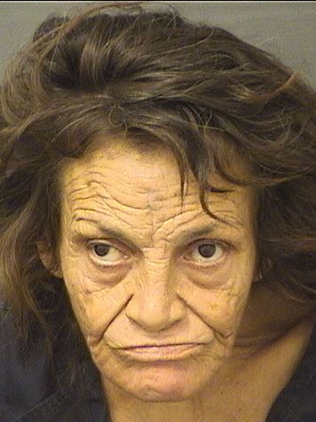  DEIDRE ANN LAGANA Results from Palm Beach County Florida for  DEIDRE ANN LAGANA