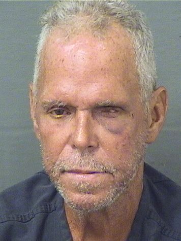  MICHAEL W BROWN Results from Palm Beach County Florida for  MICHAEL W BROWN