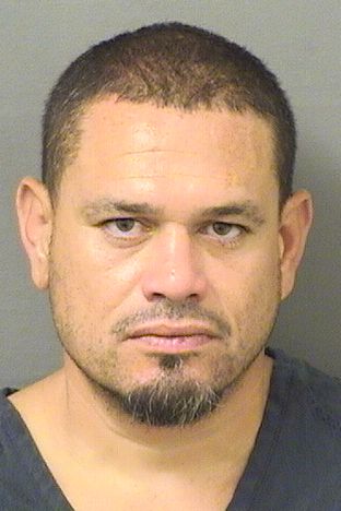  JOSE A MENDOZA Results from Palm Beach County Florida for  JOSE A MENDOZA