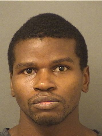  MICHAEL A WATSON Results from Palm Beach County Florida for  MICHAEL A WATSON