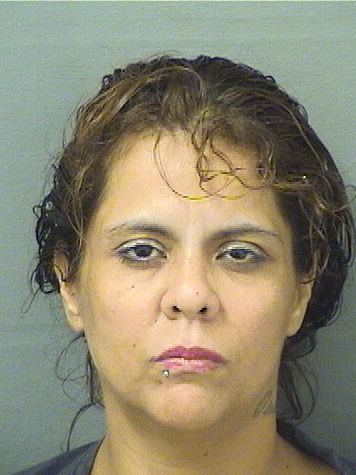  IRENE BETANCOURT Results from Palm Beach County Florida for  IRENE BETANCOURT