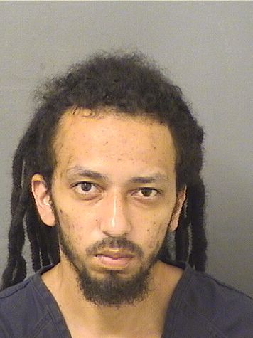  CHRISTIAN DANIEL REYES Results from Palm Beach County Florida for  CHRISTIAN DANIEL REYES