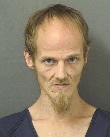  BRIAN DAVID RECHIN Results from Palm Beach County Florida for  BRIAN DAVID RECHIN