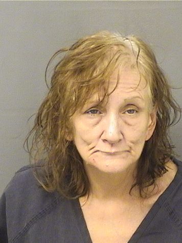  DAWN DENISE FARROW Results from Palm Beach County Florida for  DAWN DENISE FARROW