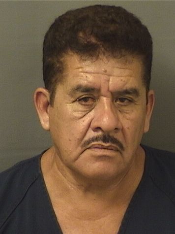  JAMIE PINOHERNANDEZ Results from Palm Beach County Florida for  JAMIE PINOHERNANDEZ