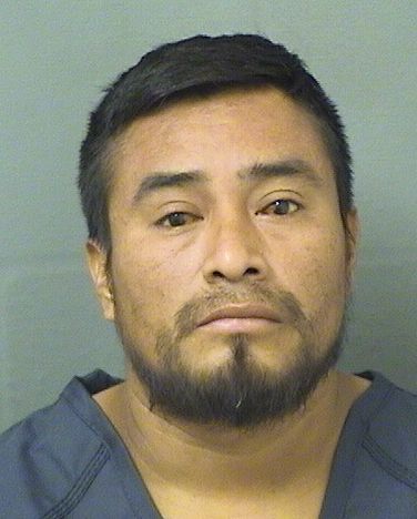  ALLAN ISIDROFELIX Results from Palm Beach County Florida for  ALLAN ISIDROFELIX