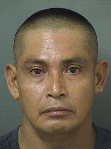  HUGO ARIEL SANCHEZ MENDOZA Results from Palm Beach County Florida for  HUGO ARIEL SANCHEZ MENDOZA