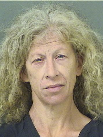  ANGELA D NAROLIS Results from Palm Beach County Florida for  ANGELA D NAROLIS