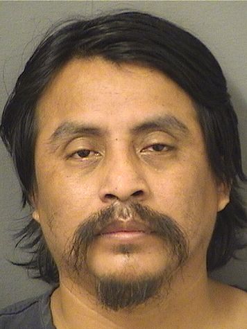  MARCOS LEONEL PEDROSISNIEGA Resultados de la busqueda para Palm Beach County Florida para  MARCOS LEONEL PEDROSISNIEGA