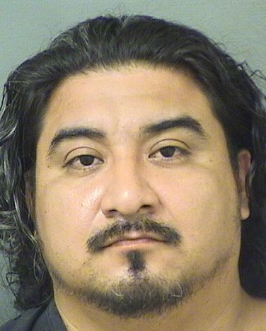  ABEL JAVIER LUIS Results from Palm Beach County Florida for  ABEL JAVIER LUIS