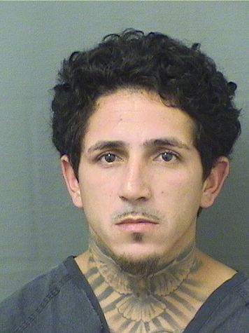  JONATHAN BAUTISTAPADILLA Results from Palm Beach County Florida for  JONATHAN BAUTISTAPADILLA
