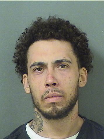  BRYAN WILLIAM ANDERSON Results from Palm Beach County Florida for  BRYAN WILLIAM ANDERSON